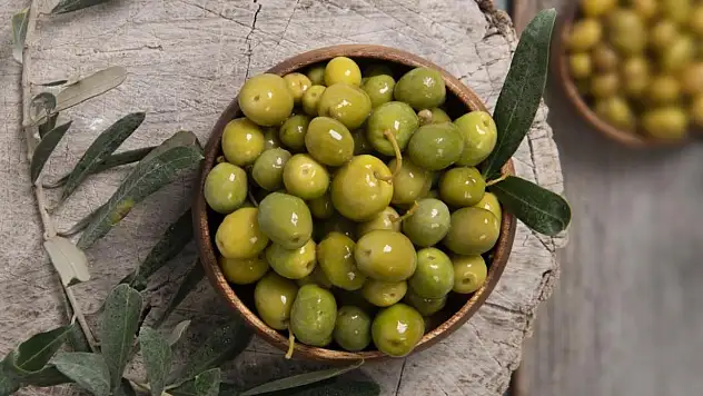 Sofralık zeytin ihracatında rekor!