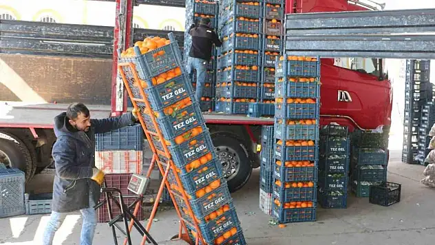 Soğuk hava sebze ve meyve fiyatlarını etkiledi