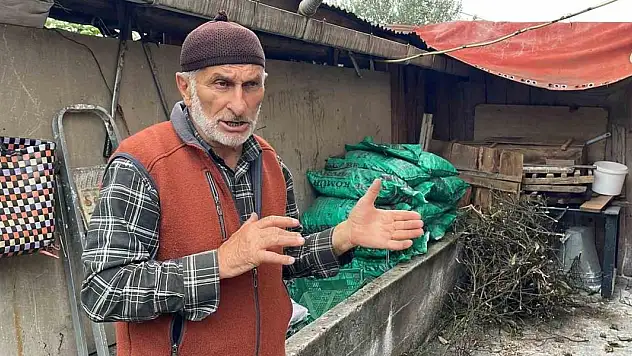 Sokak köpekleri ilçe sakinlerinin hayvanlarını telef etti