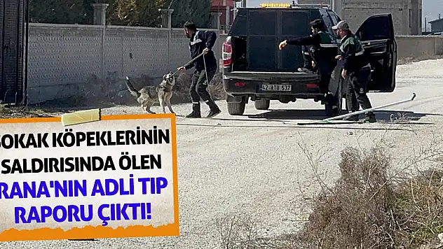 Sokak köpeklerinin saldırısında ölen Rana'nın Adli Tıp raporu çıktı