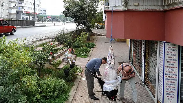 Sokakta kurban kesip, atıklarını gömenlere ağır ceza!