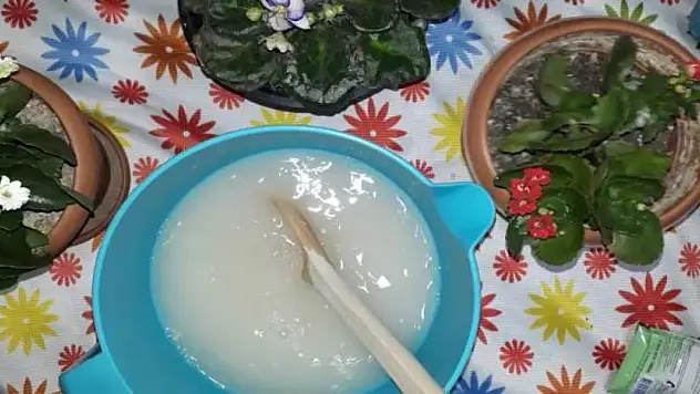 Solan çiçeğin canlanmasını sağlayacak tüyo! Dibine serpiştirmek yetiyormuş