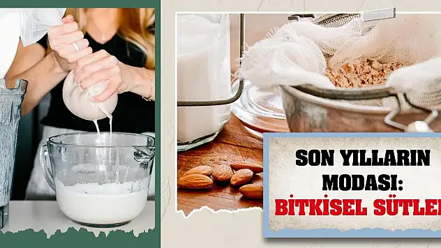 Son Yılların Modası: Bitkisel Sütler