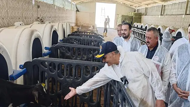 Sorgum-sudan otunun hasadı yapıldı!