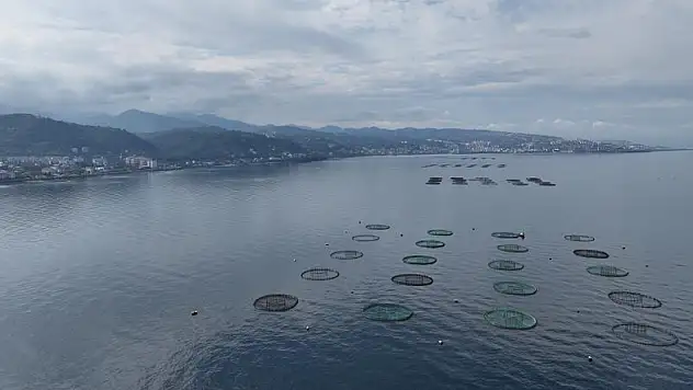 Su ürünleri ihracatı 2,2 milyar doları aştı