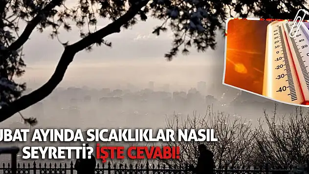 Şubat ayında sıcaklıklar nasıl seyretti? İşte cevabı!