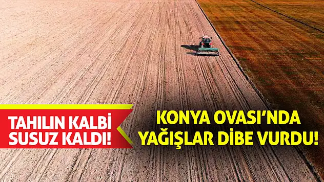 Tahılın Kalbi Susuz Kaldı! Konya Ovası'nda Yağışlar Dibe Vurdu!