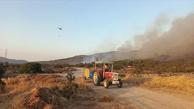 Tarım alanında başlayan yangın ormana sıçradı!