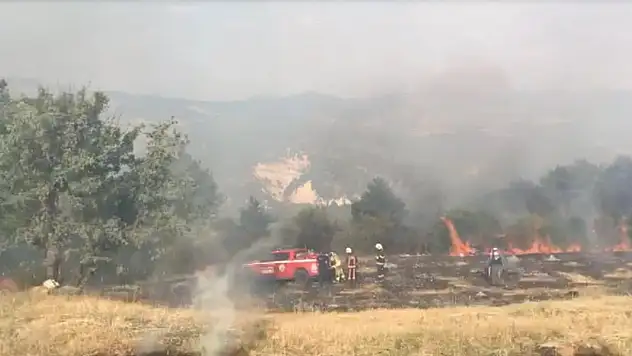 Tarım arazisinde çıkan yangın 3 saatte kontrol altına alındı