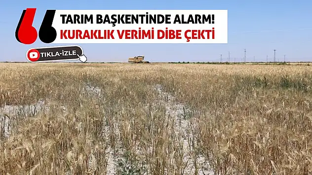 Tarım Başkentinde Alarm! Kuraklık Verimi Dibe Çekti