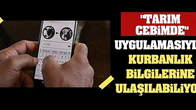 'Tarım Cebimde' uygulamasıyla kurbanlık bilgilerine ulaşılabiliyor