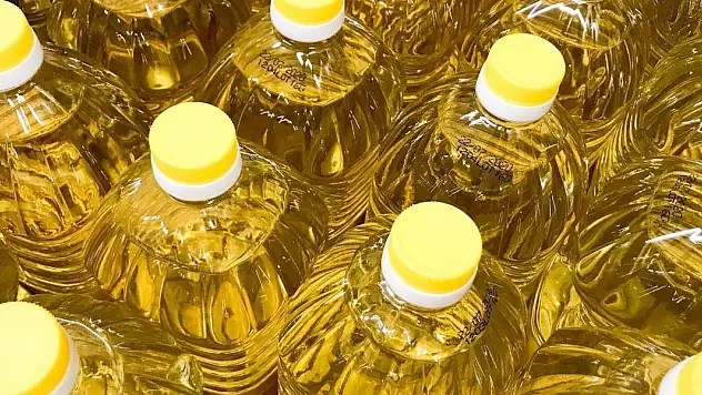 Tarım, gıda ve içecek sektöründen 7,1 milyar dolar ihracat