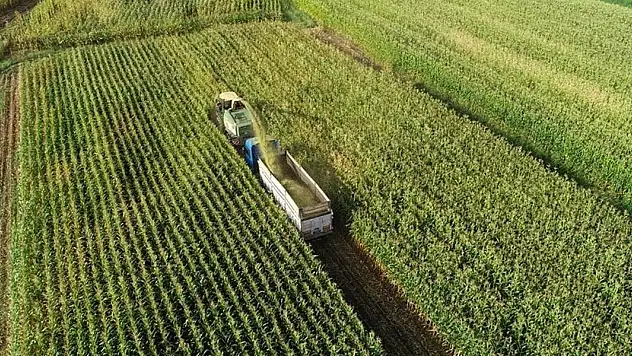 Tarım ÜFE ağustosta 3,45 azaldı