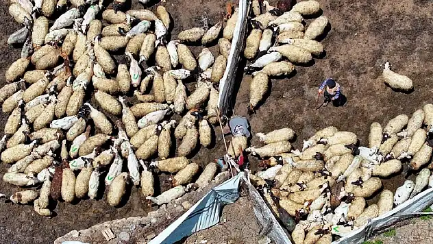 Tarımda dijital dönüşümle gençler çiftçiliğe teşvik edilecek