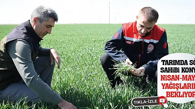 Tarımda söz sahibi Konya, Nisan-Mayıs yağışlarını bekliyor!