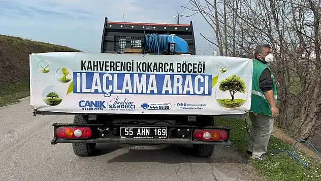 Tarımın düşmanı kokarcayla ilaçlı müdahale