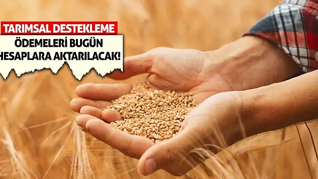 Tarımsal destekleme ödemeleri bugün hesaplara aktarılacak