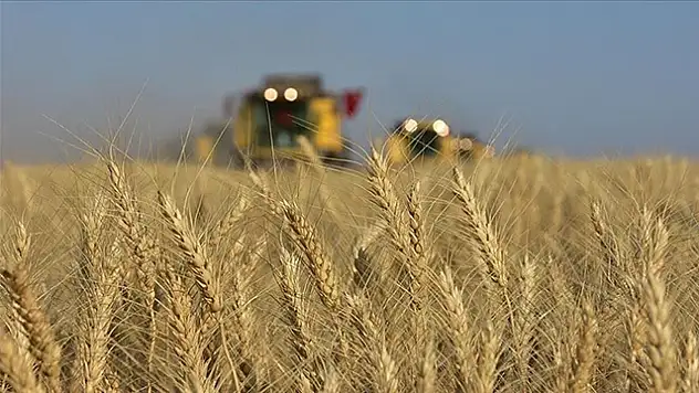 Tarımsal girdi fiyat endeksi ekimde arttı