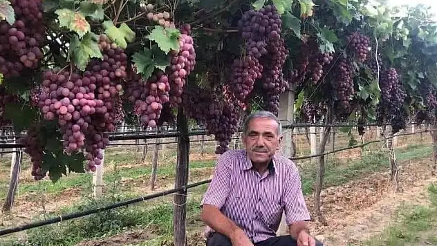 TARİŞ'in açıkladığı üzüm fiyatına tepki