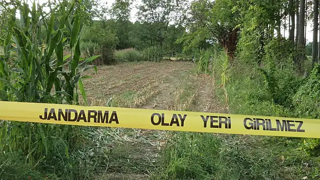 Tarlada insan kemikleri bulundu! Gerçek tüyler ürpertti!