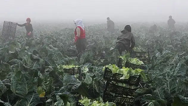 TARSİM sistemi Türk dünyasına açılıyor