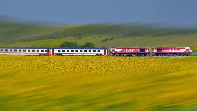TCDD tren yollarında ilaçlama yapacak