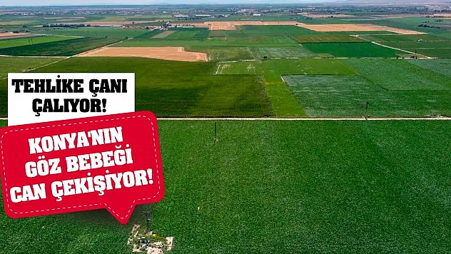 Tehlike Çanı Çalıyor! Konya'nın Göz Bebeği Can Çekişiyor!