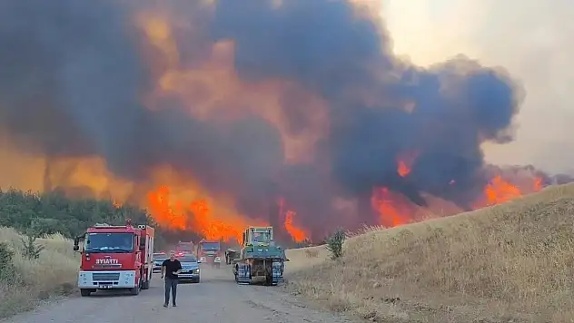 Tekirdağ'daki orman yangını kontrol altına alındı