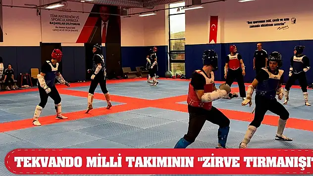 Tekvando Milli Takımının 'zirve tırmanışı'