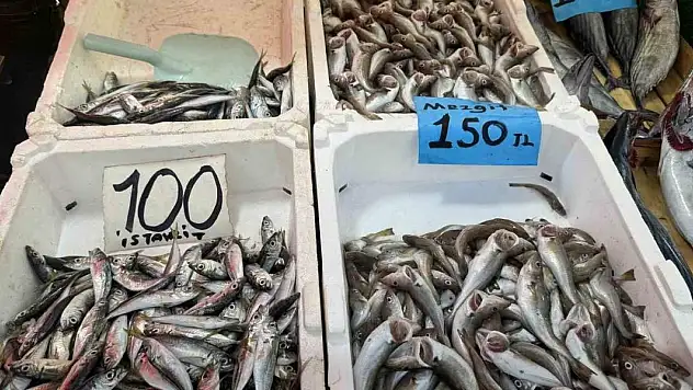 Tezgahların en pahalı balığı mezgit oldu