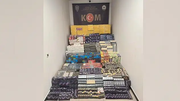 TIR'da 49 bin 750 paket kaçak sigara ele geçirildi