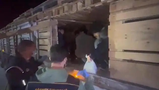 Tırın dorsesindeki gizli bölmeden 42 düzensiz göçmen çıktı