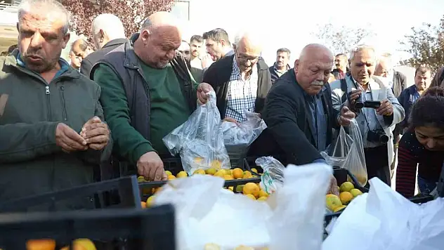 Tonlarca mandalinayı vatandaşa ücretsiz dağıttılar