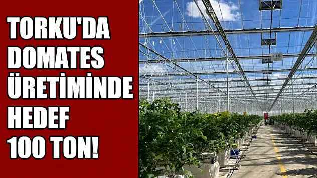 Torku'da domates üretiminde hedef 100 ton!