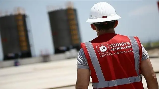 TPAO'nun Derin Öğrenme Süreçleri ile Fosil Tanıma Yöntemi tescillendi