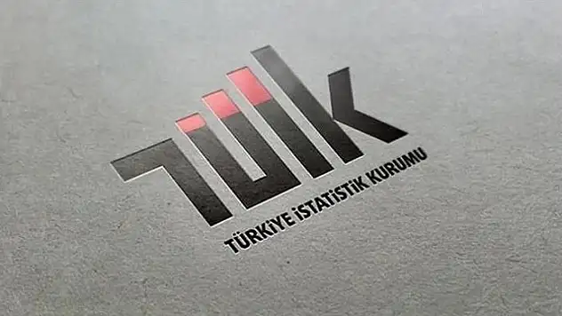 TÜİK: Haziranda yumurta, içme sütü üretimi ve tavuk eti üretimi arttı