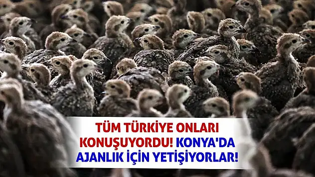 Tüm Türkiye Onları Konuşuyordu! Konya'da Ajanlık İçin Yetişiyorlar!