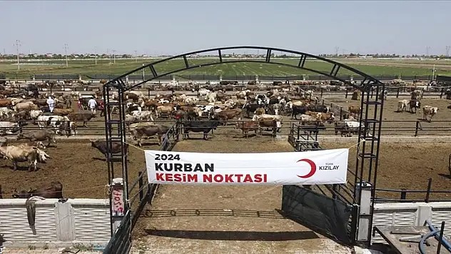 Türk Kızılay yurt içinde ve 19 ülkede kurban kesiyor