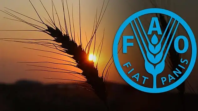 Türkiye, FAO konsey üyeliğine seçildi