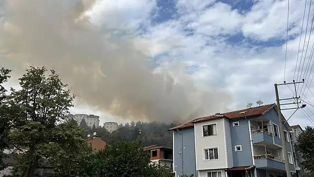 Türkiye hafta sonunu yangınlarla atlattı