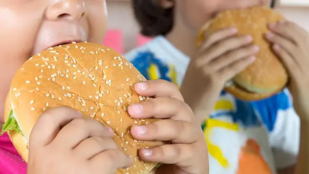 Türkiye'nin 'hızlı' favorileri belli oldu: Zirvede hamburger ve çikolata var