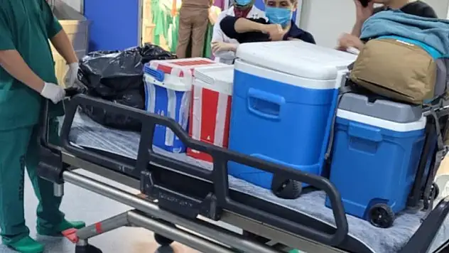 Türkiye organ naklinde örnek ülkeler arasında