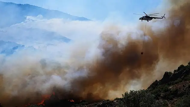 Türkiye orman yangınlarıyla mücadele ediyor