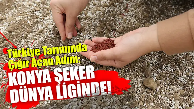 Türkiye Tarımında Çığır Açan Adım: Konya Şeker Dünya Liginde!