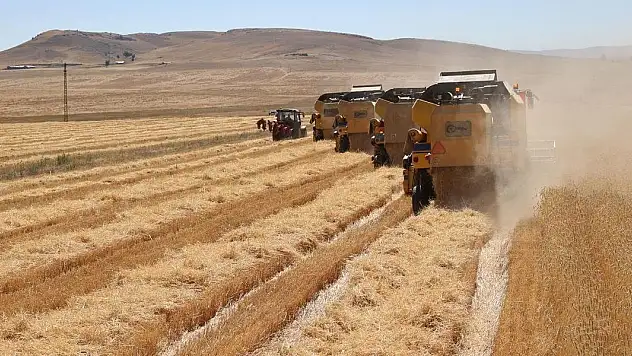 Türkiye ve Mısır arasında tarım alanında iş birliği