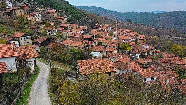 Türkiye'de şehirleşme artıyor, kırsal nüfus azalıyor