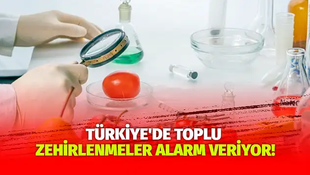 Türkiye'de Toplu Zehirlenmeler Alarm Veriyor!