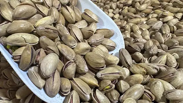 Türkiye'den yılın ilk çeyreğinde 59,7 milyon dolarlık fıstık ihracatı