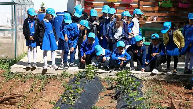 Türkiye'nin agro kütüphanesi ödül için ilk 5'te yer aldı