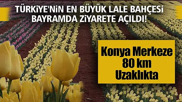 Türkiye'nin en büyük lale bahçesi bayramda ziyarete açıldı! Konya Merkeze 80 km uzaklıkta